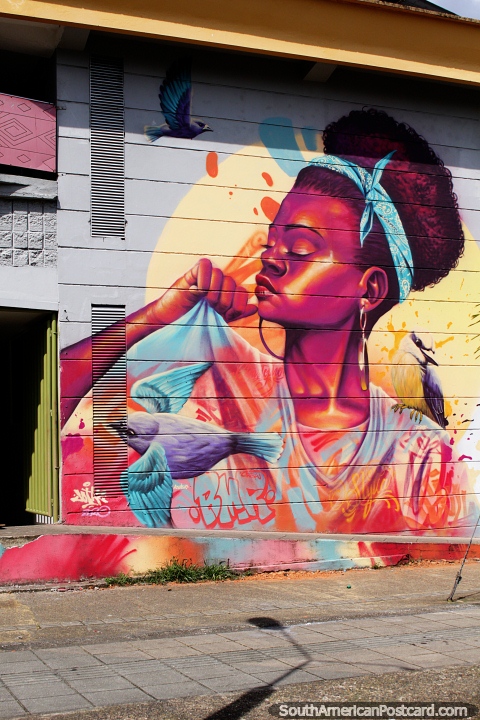 Bella mujer con pájaros, espectacular mural callejero en Quibdó. (480x720px). Colombia, Sudamerica.