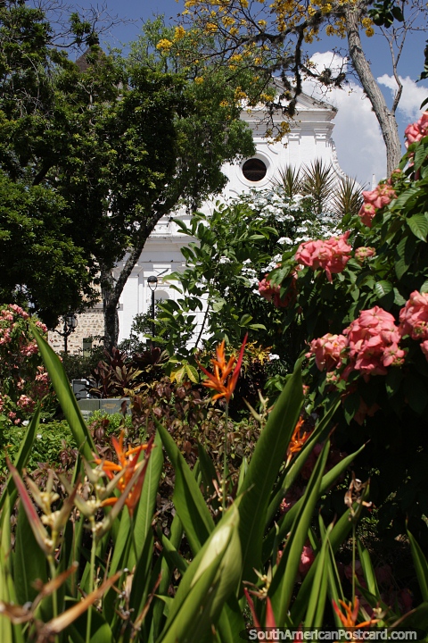 El Parque Principal en Santa Fe de Antioquia tiene hermosos jardines de flores, árboles y la catedral. (480x720px). Colombia, Sudamerica.