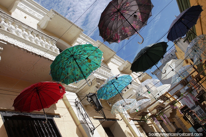 Guarda-chuvas flutuam acima da passarela pelo centro histórico de Santa Marta. (720x480px). Colômbia, América do Sul.