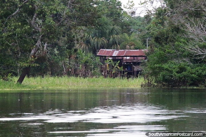 Casa da selva de indígenas no lago Yahuarkaka em Leticia. (720x480px). Colômbia, América do Sul.