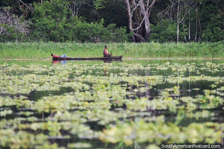 Pescadores locais em uma canoa de madeira no lago Yahuarkaka em Leticia. (720x480px). Colômbia, América do Sul.