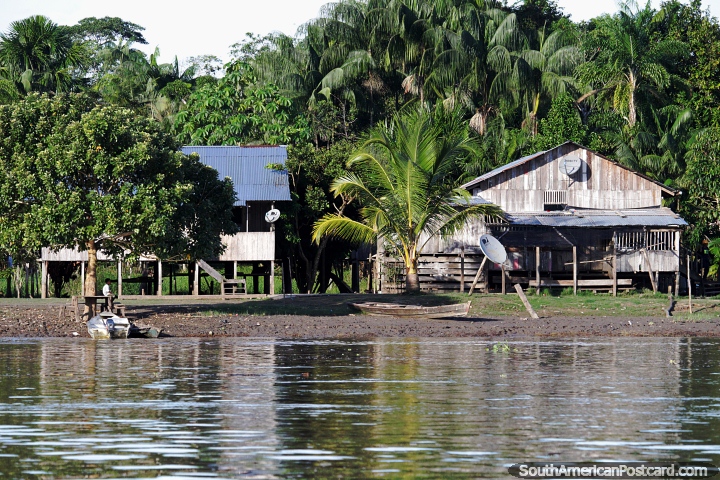 Amazonas vivendo  beira do rio, grandes casas de madeira entre rvores ao redor de Letcia. (720x480px). Colmbia, Amrica do Sul.