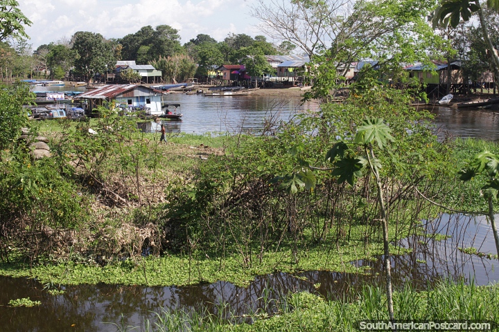 Vida fluvial en Leticia en el corazn de la Amazona. (720x480px). Colombia, Sudamerica.