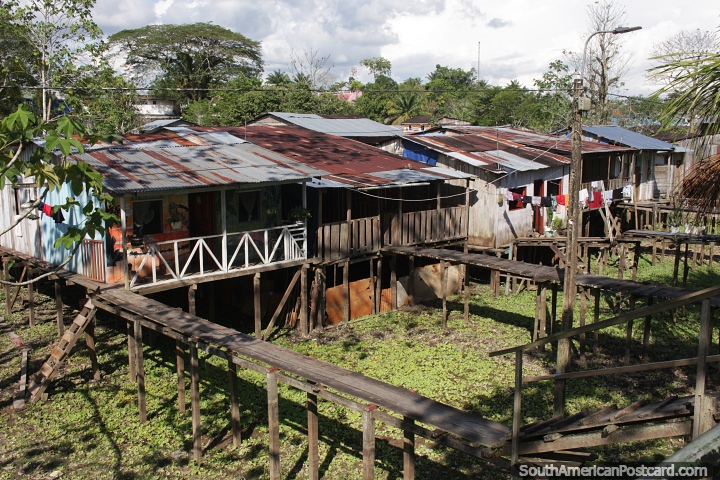Casas sobre pilotes con plataformas para caminar cerca del ro en Leticia. (720x480px). Colombia, Sudamerica.