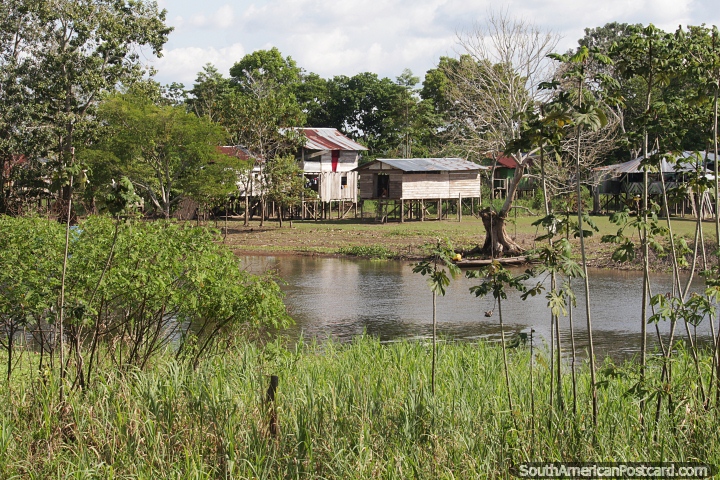 Casas sencillas y vivir en el Amazonas, Leticia. (720x480px). Colombia, Sudamerica.