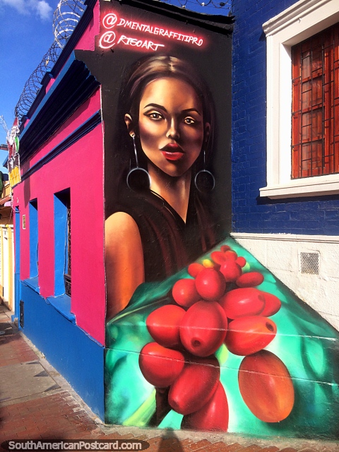 Arte callejero profesional con una hermosa mujer, una planta de café y una casa rosa y azul en Bogotá. (480x640px). Colombia, Sudamerica.