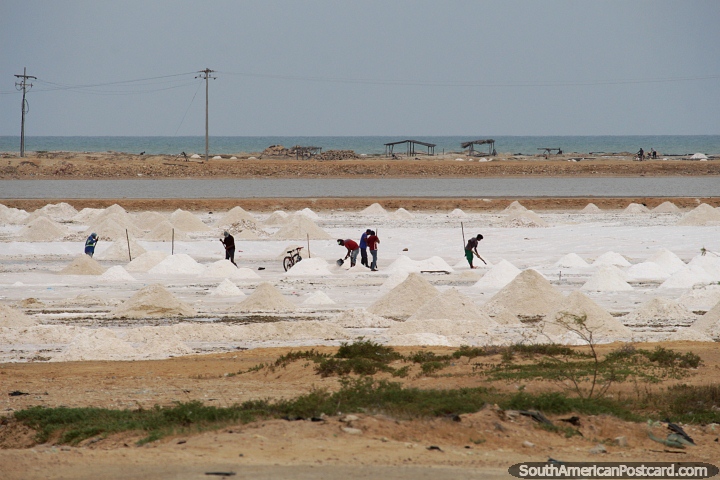 Manaure Salt Flats, men making salt piles. (720x480px). Colombia, South America.