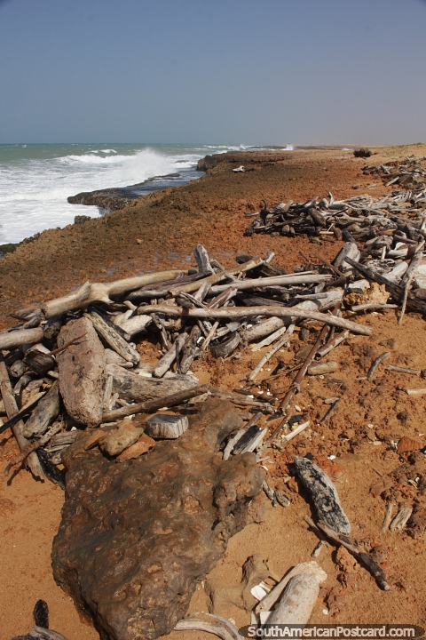 Where the sea crashes in and pushes the driftwood up in Kama'aichi, Cabo de la Vela. (480x720px). Colombia, South America.