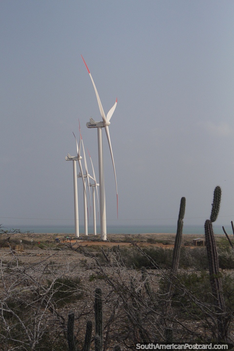Jepirachi wind farm in the Guajira desert. (480x720px). Colombia, South America.