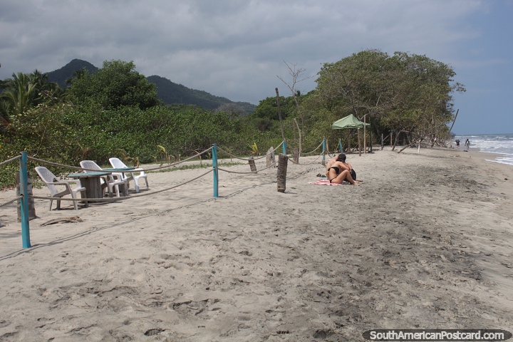 Areias espessas e mata nativa ao redor de Palomino. (720x480px). Colmbia, Amrica do Sul.