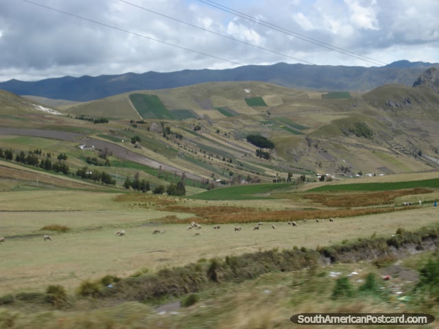 Eye-opening scenery between Pujili and Zumbahua. (640x480px). Ecuador, South America.