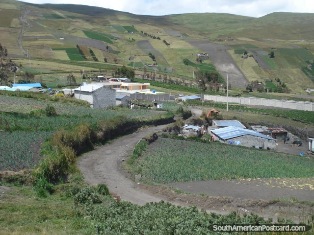 Pequeas comunidades, granjas y cosechas en las tierras altas. (640x480px). Ecuador, Sudamerica.