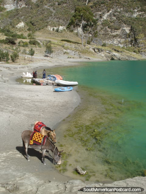 La playa en Quilotoa Laguna donde puede alquilar una canoa para remar con pala. (480x640px). Ecuador, Sudamerica.
