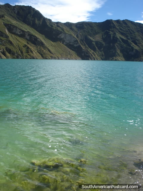 The clear green waters of Quilotoa Laguna. (480x640px). Ecuador, South America.