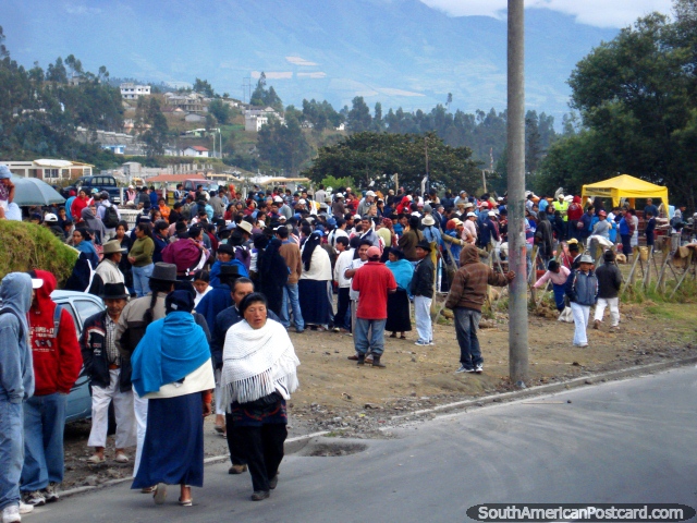 O mercado dos animais Otavalo por volta das 6h30 em um sbado. (640x480px). Equador, Amrica do Sul.