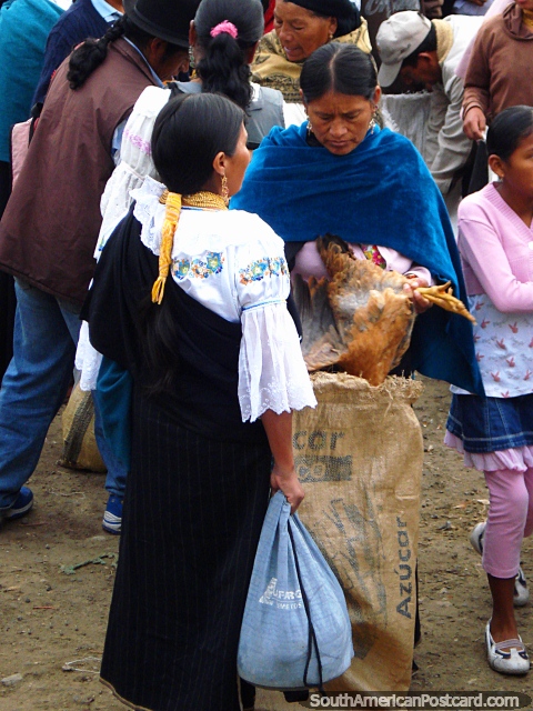 Pondo o frango em um saco, mercado de Otavalo. (480x640px). Equador, Amrica do Sul.