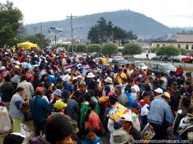 Por la media mañana el Sábado el mercado de animal en Otavalo está muy ocupado. (640x480px). Ecuador, Sudamerica.