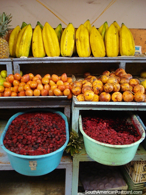 Shelves of fruit in Otavalo market including raspberries. (480x640px). Ecuador, South America.