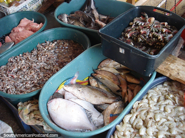 Peixe, camarões, pitus e frutos do mar no mercado de Otavalo. (640x480px). Equador, América do Sul.