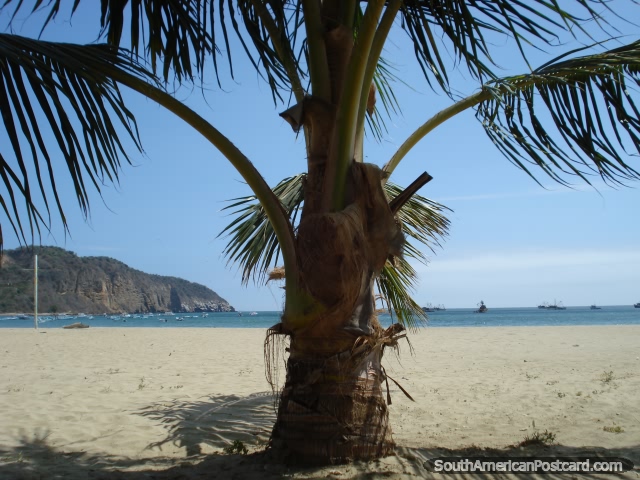 Pôr em uma rede para dormir abaixo de uma palmeira em praia de Porto Lopez. (640x480px). Equador, América do Sul.