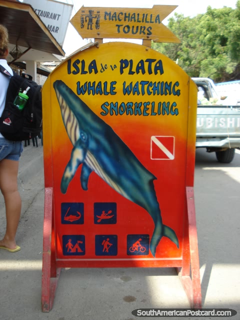 Machalilla Tours - Isla de la Plata whale watching, snorkeling, Puerto Lopez. (480x640px). Ecuador, South America.