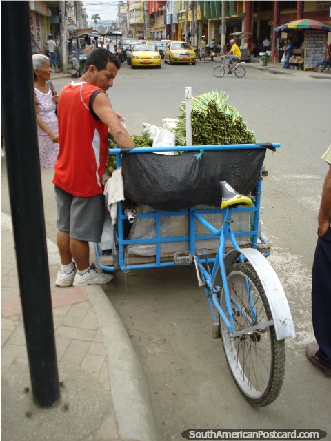 Homem vende feijo verde de seu carrinho de bicicleta em uma rua de Portoviejo. (480x640px). Equador, Amrica do Sul.