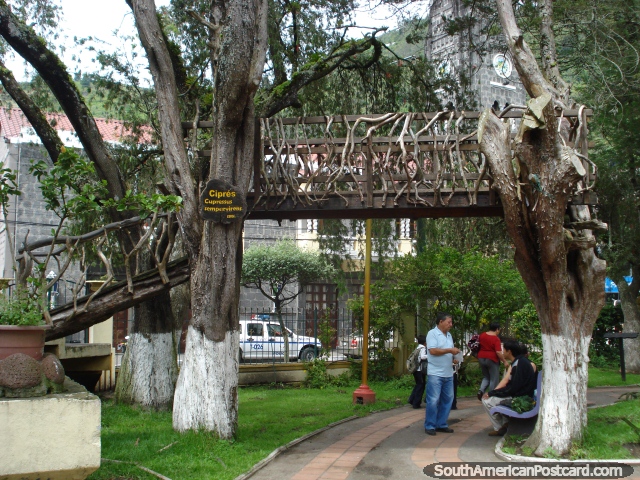 Bridge in a tree at park Parque Palomino Flores in Banos. (640x480px). Ecuador, South America.