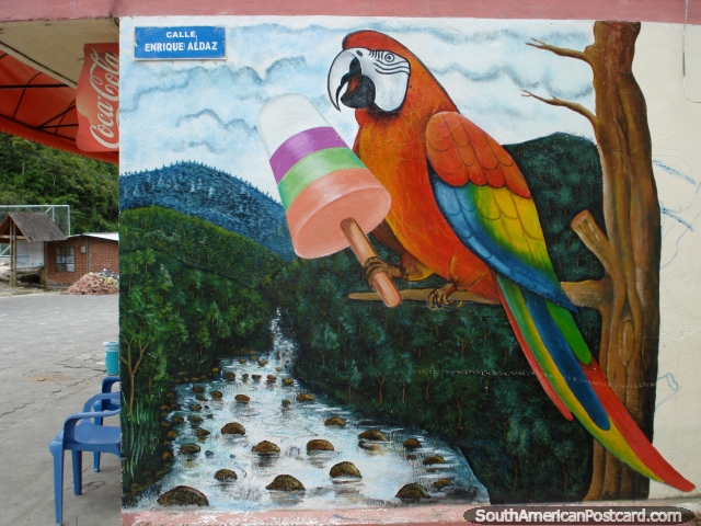 Huge red macaw eats an ice-cream wall mural in Rio Verde, Banos. (640x480px). Ecuador, South America.