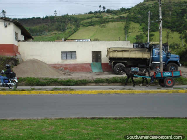 O cavalo puxou a carreta na zona rural em Tulcan. (640x480px). Equador, América do Sul.