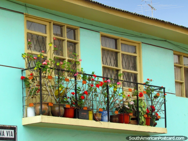 Colorful flowers in pots on a balcony in Cayambe. (640x480px). Ecuador, South America.