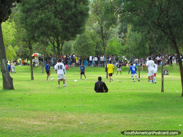 Os habitantes locais de Quito jogam o futebol no parque El Ejido em Quito. (640x480px). Equador, Amrica do Sul.
