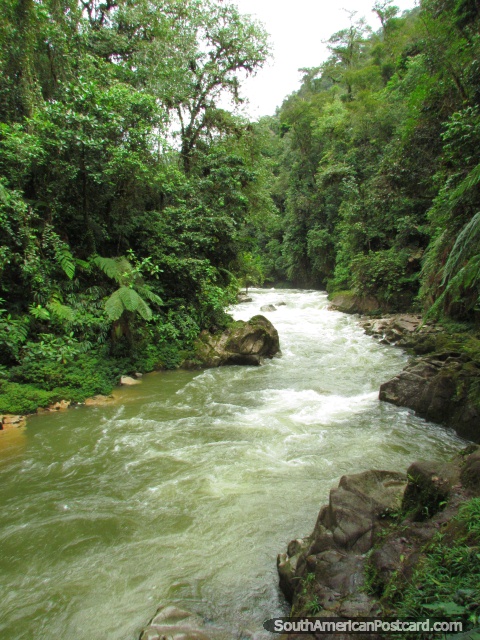 El río de la vigilancia en Parque Nacional Podocarpus, Zamora. (480x640px). Ecuador, Sudamerica.