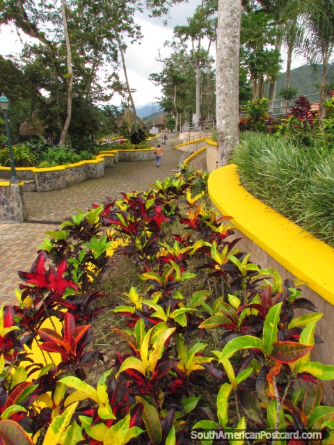 Jardins de folha e parque junto do rio na Zamora. (480x640px). Equador, América do Sul.