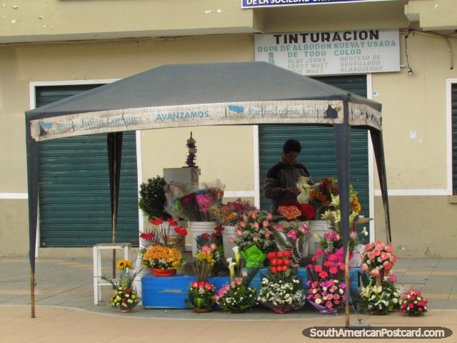 Nice flower bouquets for sale in Loja. (640x480px). Ecuador, South America.