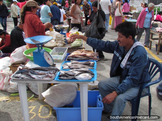 O homem vende o peixe no domingo mercados de Vilcabamba. (640x480px). Equador, América do Sul.