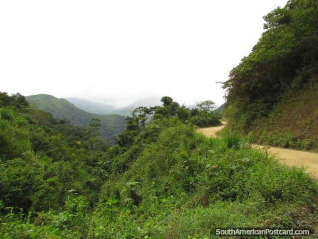 Colinas de mato verdes ao norte de Zumba. (640x480px). Equador, Amrica do Sul.