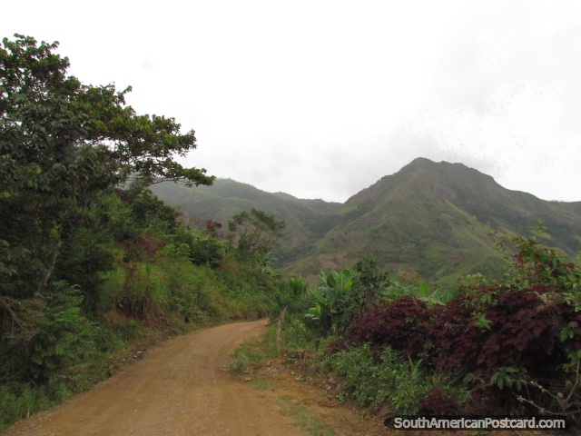 O caminho de Zumba a Pucapamba a borda de Peru. (640x480px). Equador, Amrica do Sul.