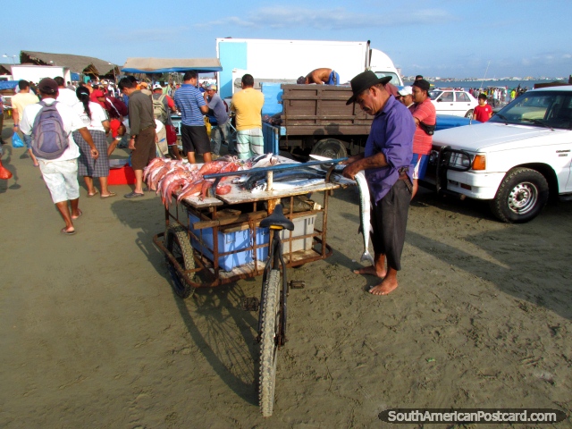 El hombre trata el pescado de su tranvía de la bicicleta en la Playa Tarqui, Manta. (640x480px). Ecuador, Sudamerica.