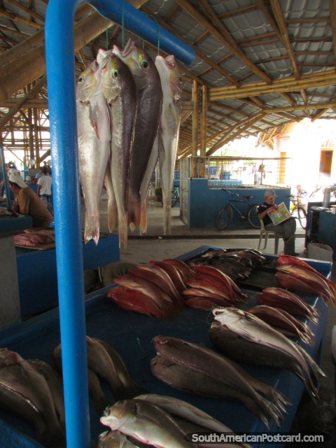 O mercado de peixes atrs da praia em Tarqui em Manta. (480x640px). Equador, Amrica do Sul.