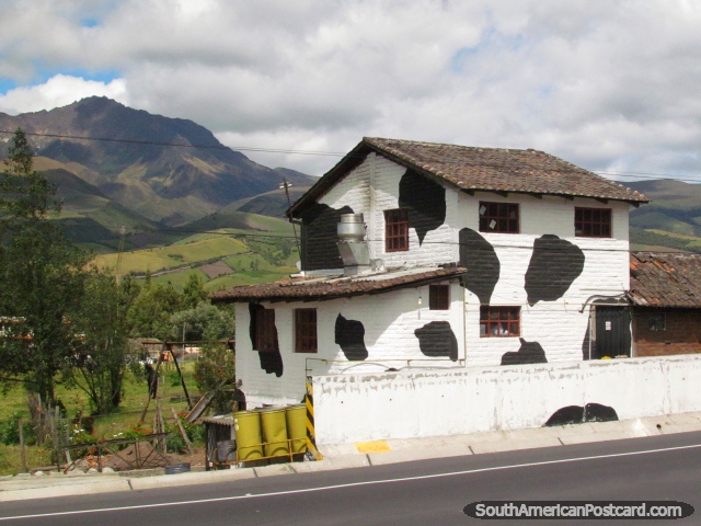 El Cafe de la Vaca - Cow Cafe, south of Machachi. (640x480px). Ecuador, South America.