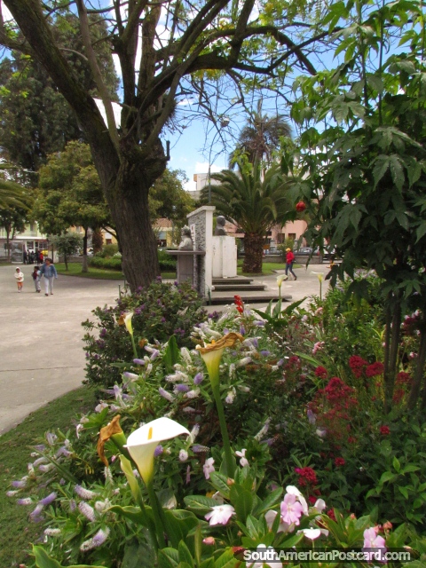 Parque hermoso en Latacunga - Parque la Filantropia con rboles y jardines. (480x640px). Ecuador, Sudamerica.