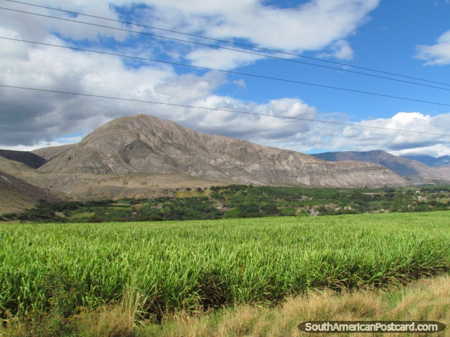 Pastagens verde-vivas e montanhas cinzas marrons ao norte de Ibarra. (640x480px). Equador, América do Sul.