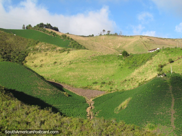 Pastagens verdes e terra de cultivo ao sul de Tulcan. (640x480px). Equador, América do Sul.