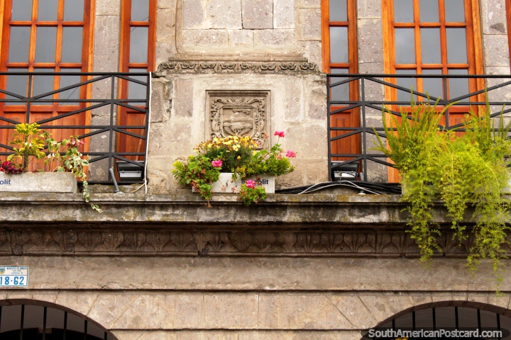 Pink and yellow flowers and a stone facade in Ambato. (720x480px). Ecuador, South America.