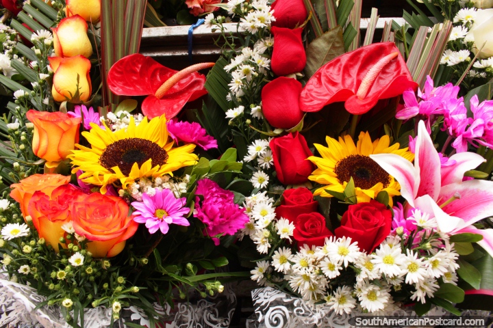 Sunflowers, roses and daises at the Ambato flower market. (720x480px). Ecuador, South America.