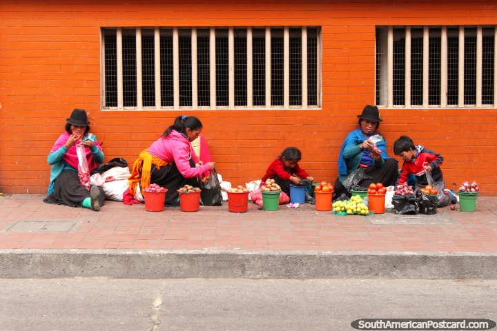 Una familia indgena ordenar sus papas y tomates para vender en Ambato. (720x480px). Ecuador, Sudamerica.