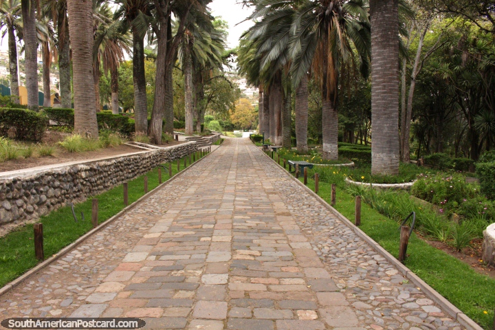 Pathway lined with palm trees at Jardin Botanico de Ambato Atocha la Liria. (720x480px). Ecuador, South America.