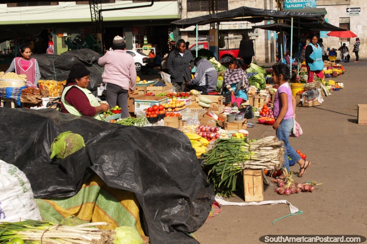 Mercados existentes ao ar livre ao sol em Praa pblica o primeiro de maio em Ambato. (720x480px). Equador, Amrica do Sul.