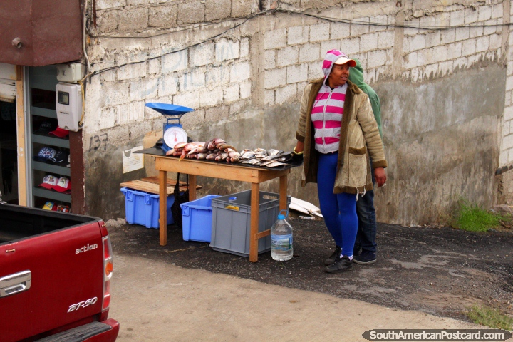 Peixe fresco de venda na rua nos arrabaldes de Ambato. (720x480px). Equador, Amrica do Sul.