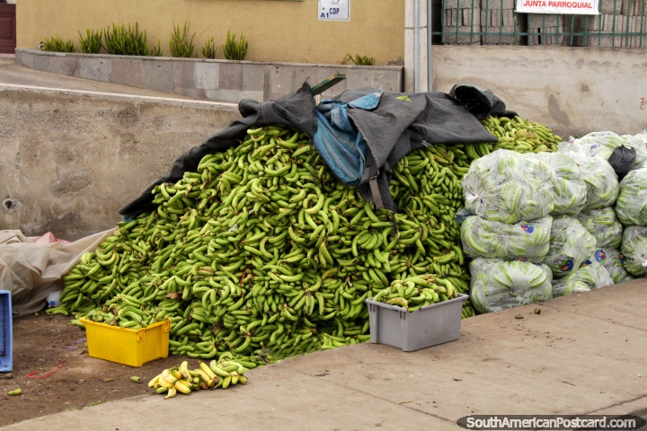 A huge pile of green bananas ready to take to the shops on the outskirts of Ambato. (720x480px). Ecuador, South America.